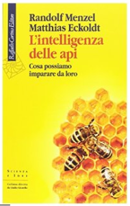 L'intelligenza delle api