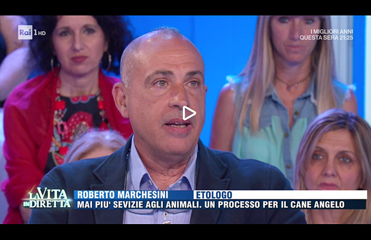 Roberto Marchesini ospite in La Vita In Diretta 19-05-2017