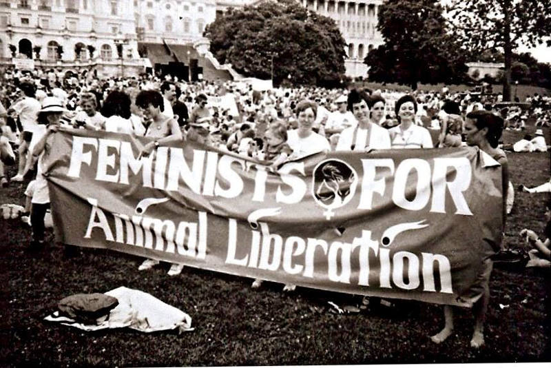 diritti animali e diritti delle donne