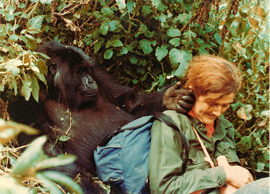 Dian Fossey e Puck