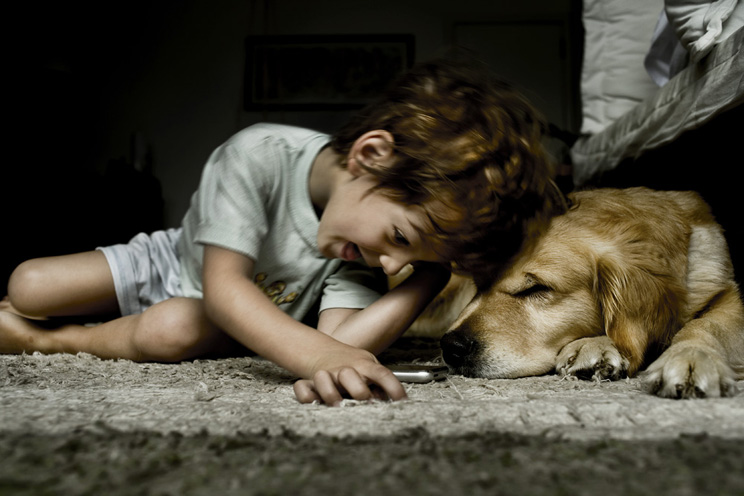 Nella relazione uomo animale, l'animale non può essere un pet