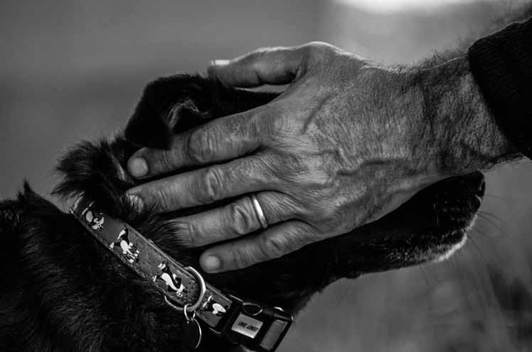 Basta cinomanie, cominciamo a guardare il mondo con gli occhi del cane