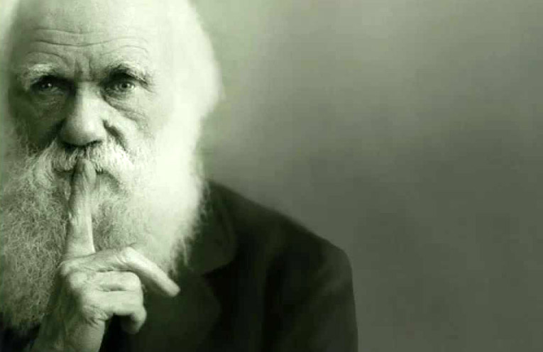 Darwin e l'evoluzione