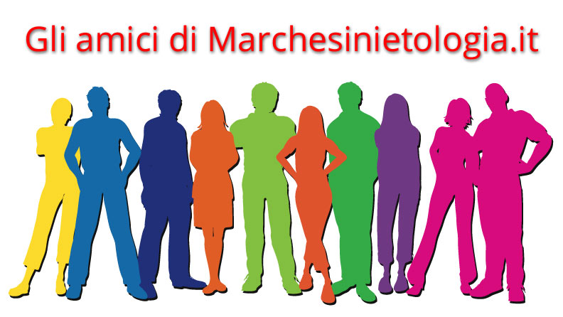Immagine evocativa per "gli amici di Marchesinietologia.it"