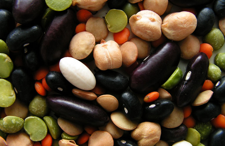 alimentazione vegetariana
