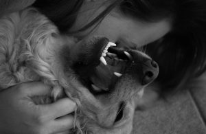 cane amore