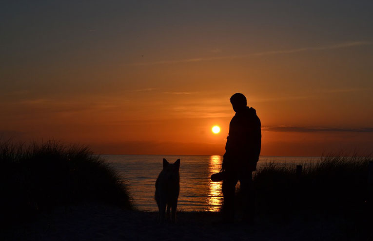 cane tramonto