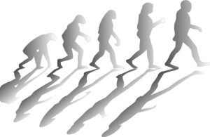 evoluzione