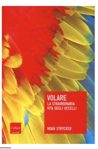 volare