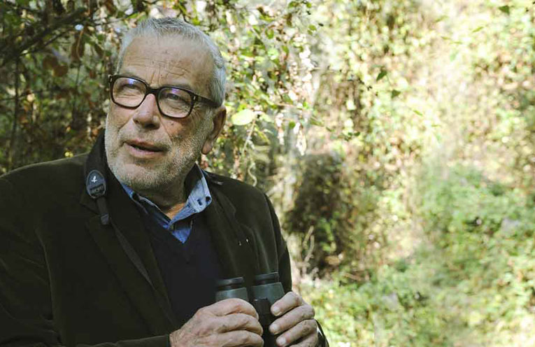 danilo mainardi