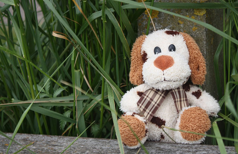 peluche