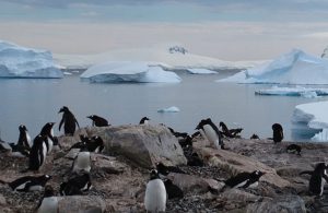 antarctica-