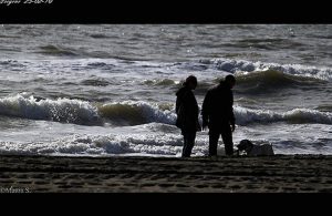 passeggiata-con-il-cane