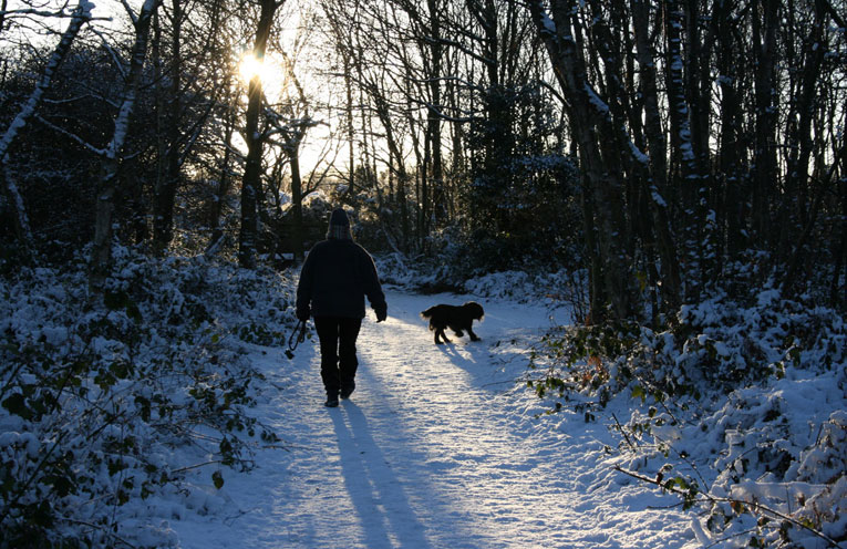 passeggio-con-cane
