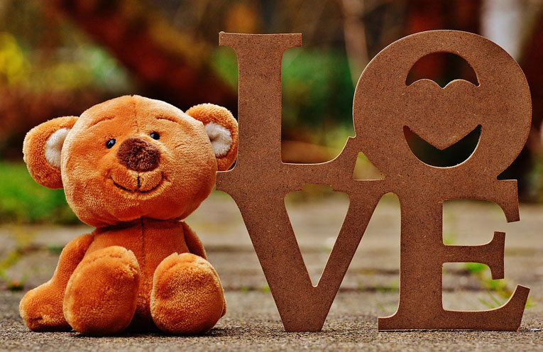 amore-animale