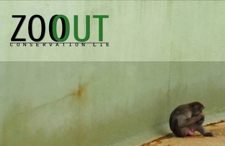 zoout documentario