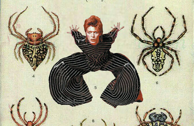 David Bowie è vivo ma ha 8 zampe ed è velenoso