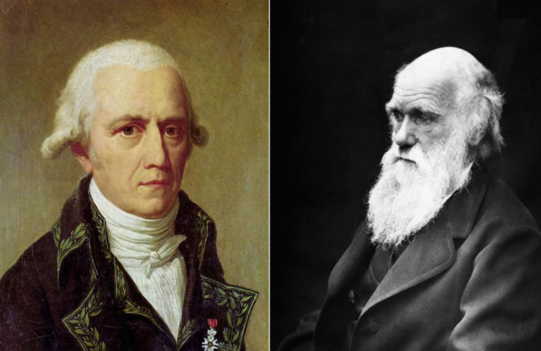 lamarck e darwin