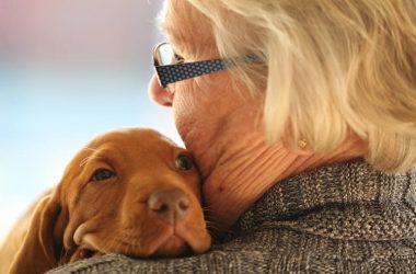 come evolve la relazione con il cane