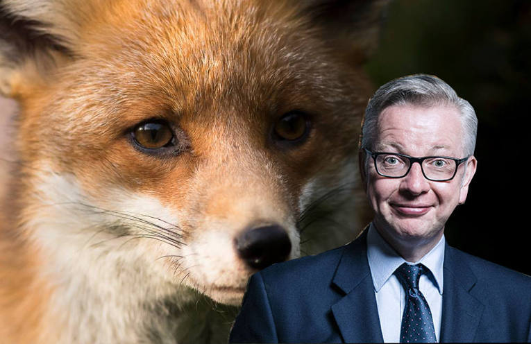 brexit cosa cambia per gli animali