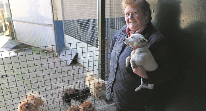 il cucciolo di natale