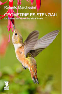 Copertina libro Geometrie esistenziali