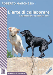 L'arte di collaborare copertina