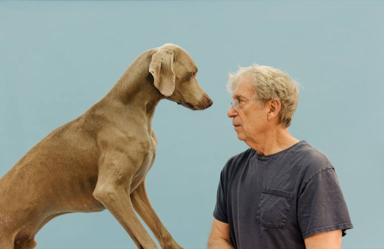 William Wegman img